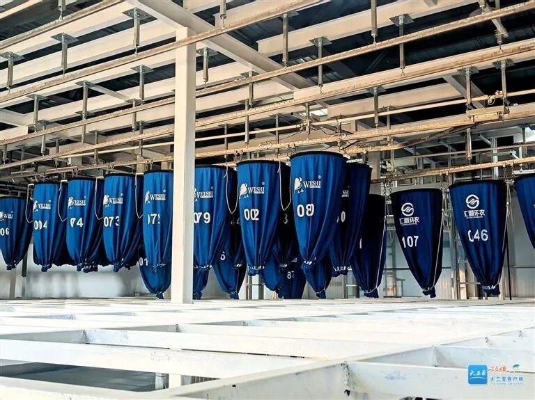 智慧賦能 三亞環(huán)農(nóng)布草洗滌園邁入實質(zhì)運(yùn)營階段